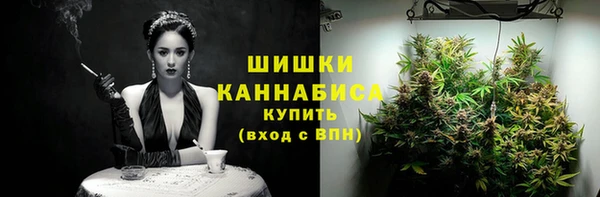 гидра Армянск