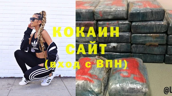 сатива Арсеньев