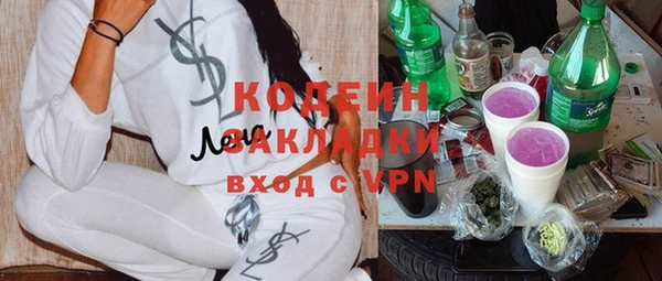 сатива Арсеньев