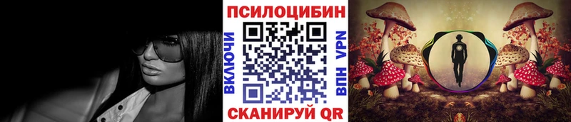Псилоцибиновые грибы Cubensis  МЕГА ссылки  Жиздра  наркота 